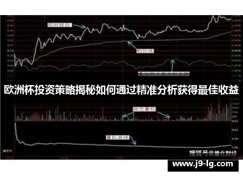 欧洲杯投资策略揭秘如何通过精准分析获得最佳收益