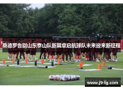 桑德罗告别山东泰山队新篇章启航球队未来迎来新征程 桑德罗告别山东泰山队新篇章启航球队未来迎来新征程