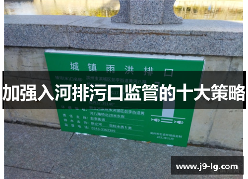 加强入河排污口监管的十大策略 加强入河排污口监管的十大策略