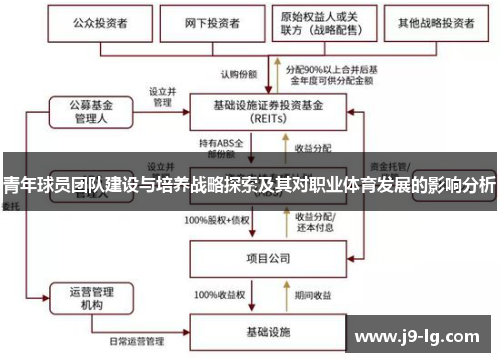 青年球员团队建设与培养战略探索及其对职业体育发展的影响分析